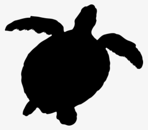 tortoise at getdrawings com free for personal - sea turtle silhouette png