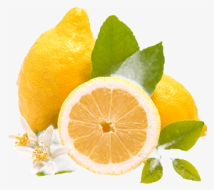 Limon - Rangpur
