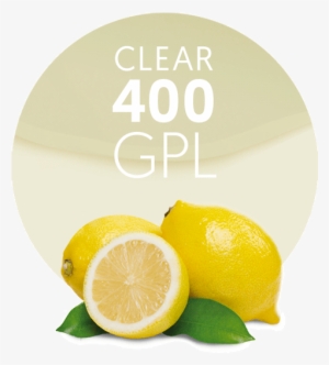 Lemon Concentrate Clear 400 Gpl - Meyer Lemon