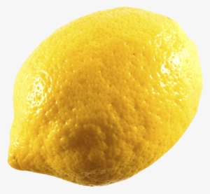 Limon - Meyer Lemon