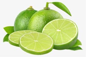Png Limon Persian Lime Pictures Png Png Limon Persian - Lime Png Transparent Background