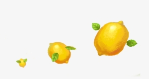 手绘柠檬 - Fruit