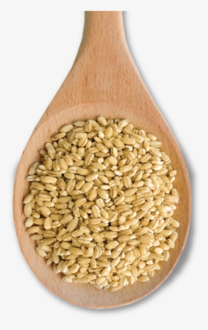 With Its Rich Texture, Pearl Barley Makes An Excellent - Ottawa Valley Grain Products Inc.