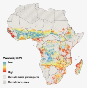 Map - Maize In Africa Map