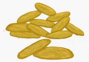 Barley Biscuit - Seed