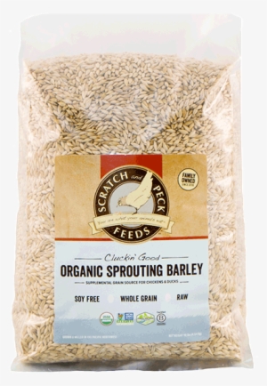 Scratch Peck Feeds Organic Sprouting Barley - Barley