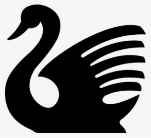 Swan Bird Animal Aquatic Water Swim Fly Fl - Swan Silhouette Png