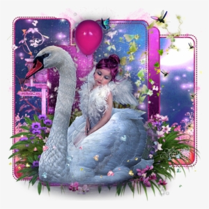 Bird - Képek