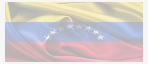 Cosa Puoi Fare Tu - Bandera De Venezuela