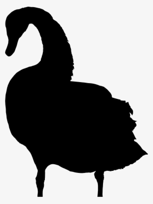 Swan Silhouette At Getdrawings - Silhouette Swan Clipart Transparent