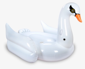 Swan Pool Float By Mimosa Inc - Mimosa Inc White Swan Inflatable Premium Quality Giant