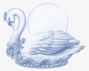 Swan - Drawing