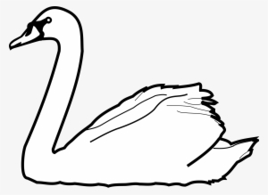 Drawn Swan Wildlife - Swan Clip Art Black And White