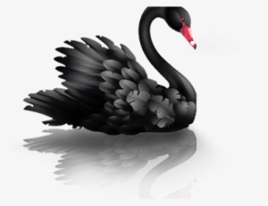 Swan Png Transparent Images - Swan Png