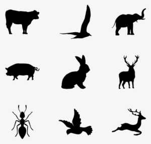 Animal Kingdom - Icono De Animales Png
