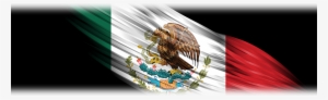 Juan Salvador Agraz 65, Piso - Mexico Coat Of Arms Throw Blanket