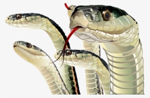 Snakes Snake Tounge - Uhaul Snakes