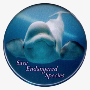 Save Endangered Species - Save Endangered Animals Logo