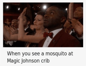 When You See A Mosquito At Magic - Magic Johnson Funny Meme