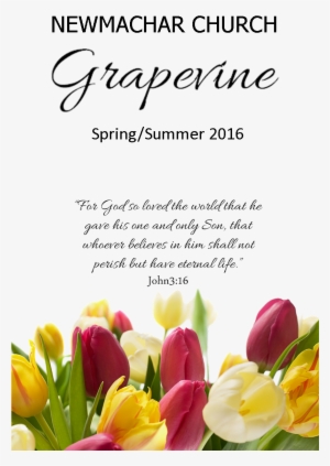 Grapevine S-s - Flowers For Birthday Tulip