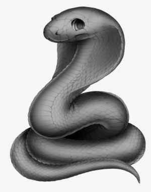 Snake Cobra Base