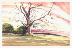 Watercolour Painting Old Tree - Painting