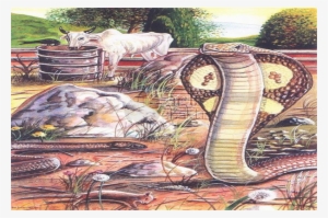 Watercolour Painting Cobra - Serpent