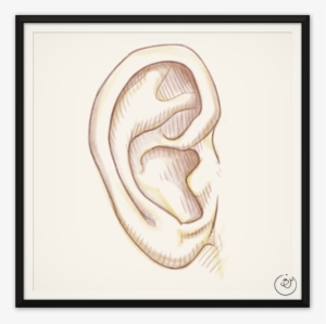 "ear" Flashcard - Flash Card Of Ear