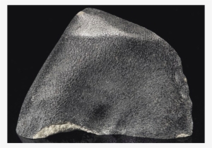 The Largest Lunar Meteorite Ever Made Available At - Meteorito Zagami