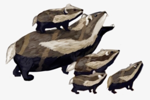 Play As The Role Of A Honey Badger - Animal Jam Honey Badger