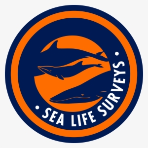 Sea Life Surveys Logo Png Transparent - Portable Network Graphics
