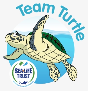 Sea Life Trust On Twitter - Sea Life Trust