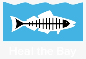 Heal The Bay