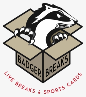 badger breaks - baseball card