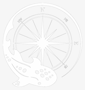 Circle