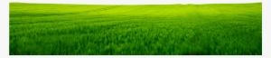 Green Land Images Png