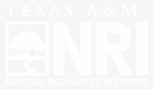 Texas A&m Natural Resources Institute - City