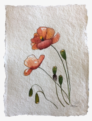 "poppies" Original Watercolor Painting On Chairish