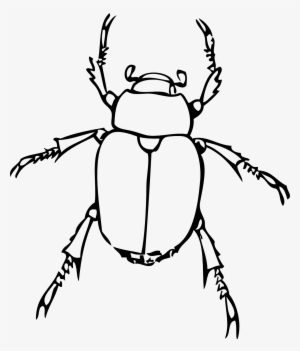 Clip Art Black And White Bug Line Drawing - Insect Pictures Black And White