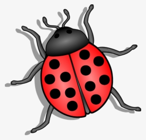 Lady Bug Clip Art At Clker Com Vector Clip Art Online - Lieveheersbeestje Tekening