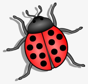 cute ladybug insect 21444549 PNG