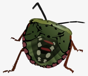 Original Png Clip Art File Stink Bug Svg Images Downloading