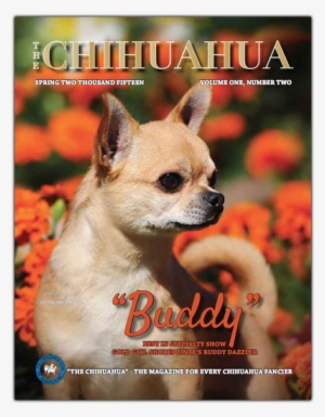 The Chihuahua - Chihuahua