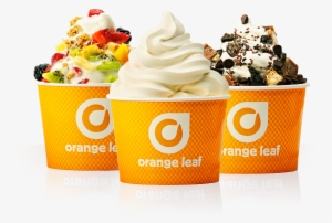 Free Frozen Yogurt Orange Leaf - Orange Leaf