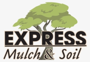 Nissan Express Service Logo Png