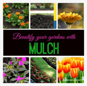 Beautify Your Gardens With A Rich, Nourishing Blanket - Mambino Organics Anti-stretch And Rebound Skin Duo,