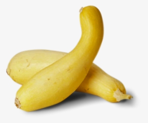 Jpg Royalty Free Stock Icon Png Whole Plant Foods Pinterest - Yellow Squash Transparent Background