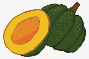 Png Transparent Download Collection Of Acorn High Quality - Acorn Squash Clipart
