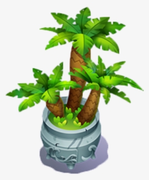 Potted Palms - Houseplant