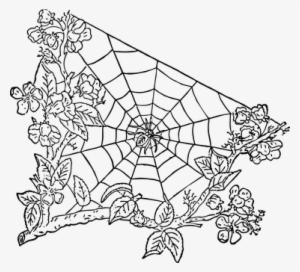 Spider, Spider Web, Halloween, Cobweb - Spider